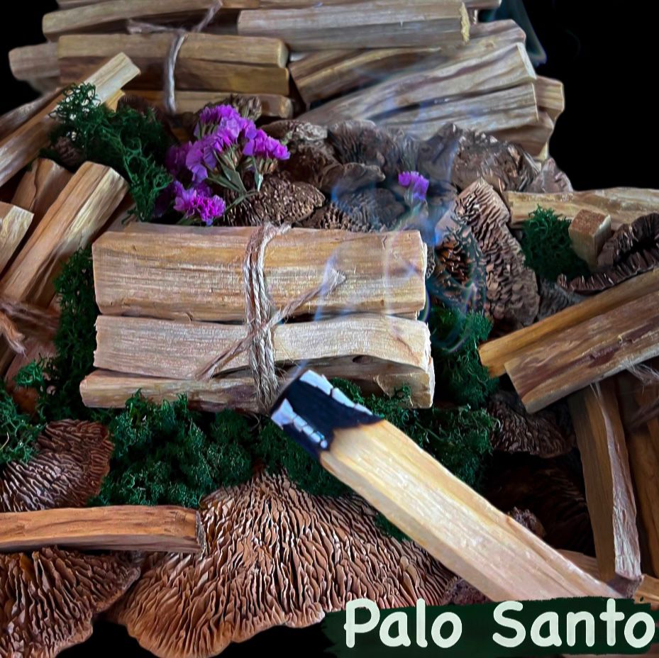 Palo Santo lot de 10