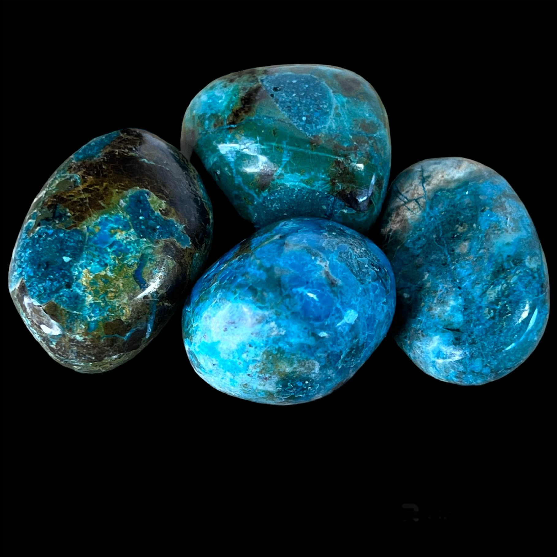 Chrysocolle